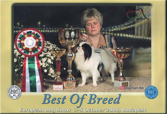 Хин Сатори Баловень Судьбы