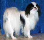 Янику 2 года